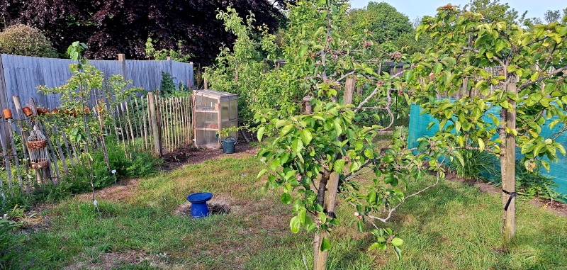 Gabrielle's Allotment